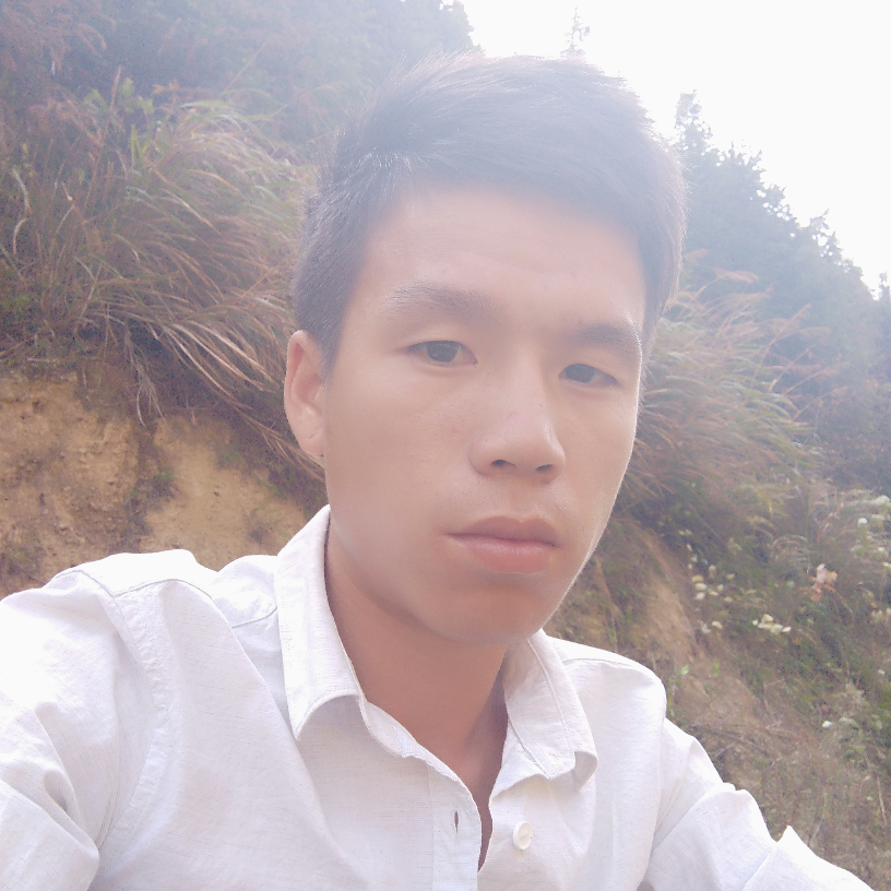 无可取代的蹁跹着的照片
