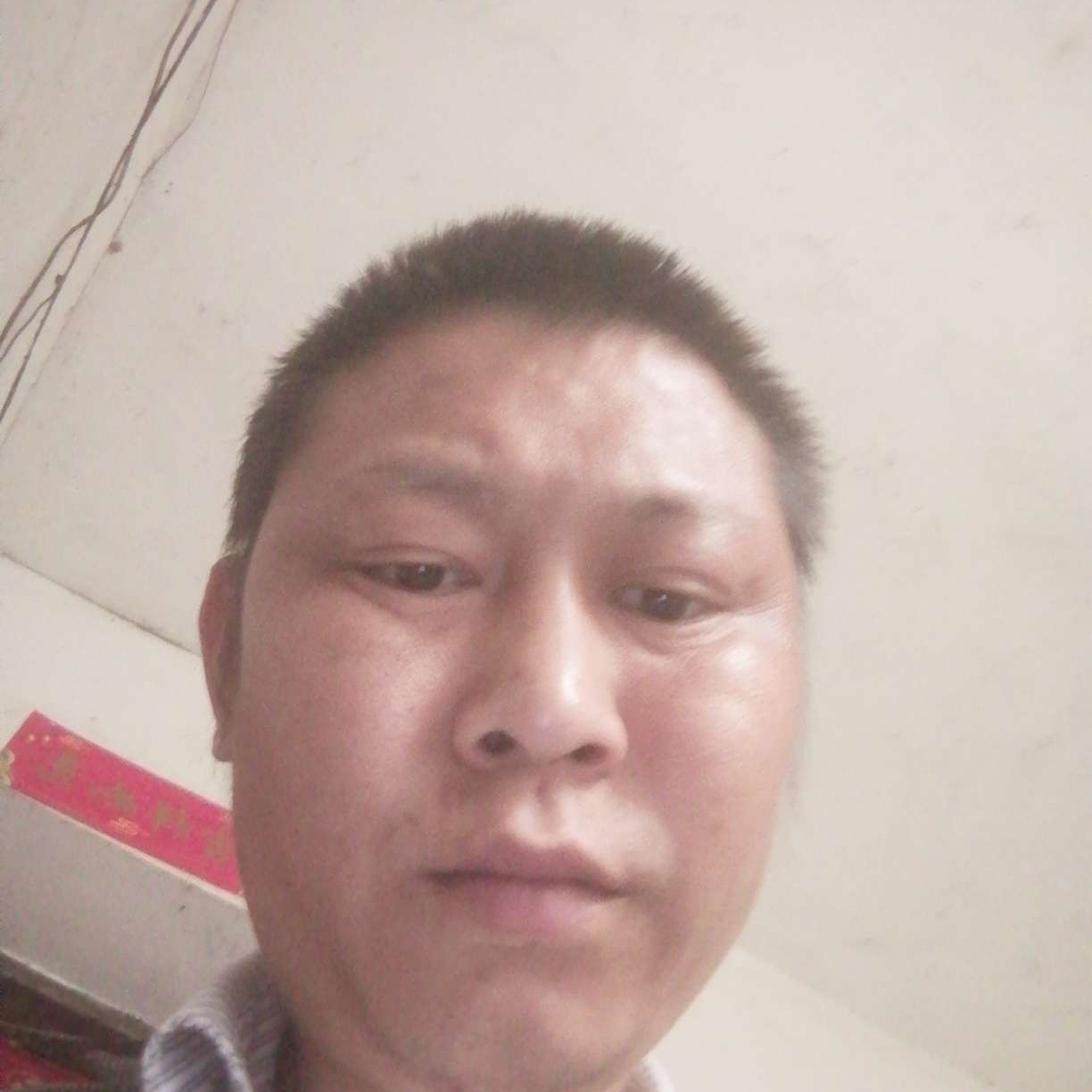 歌曲倾心忧郁的照片