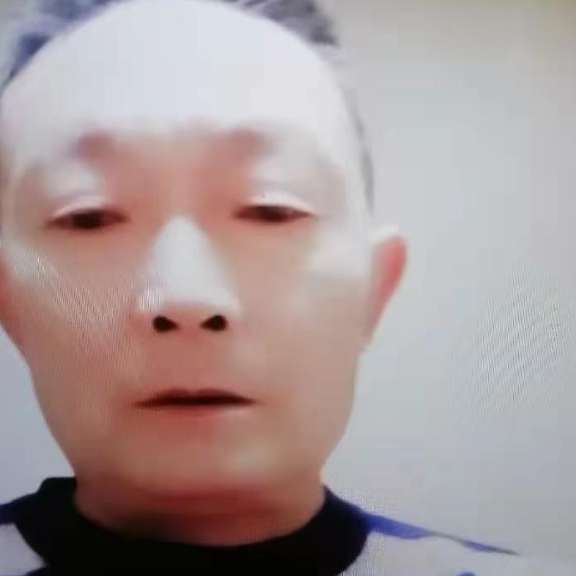，饼的照片