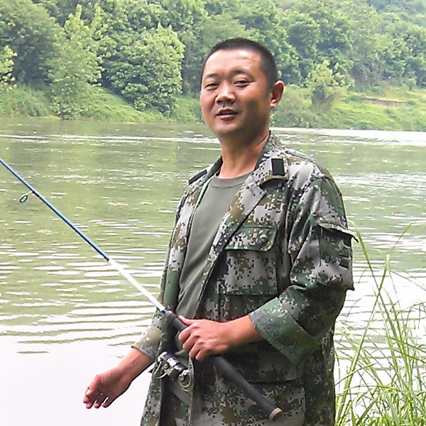 城市苍狼的照片