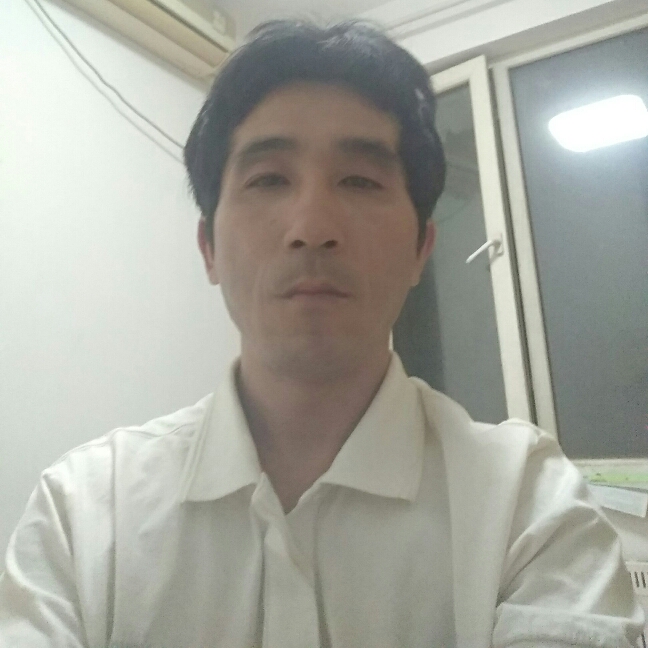 温暖灰狼的照片