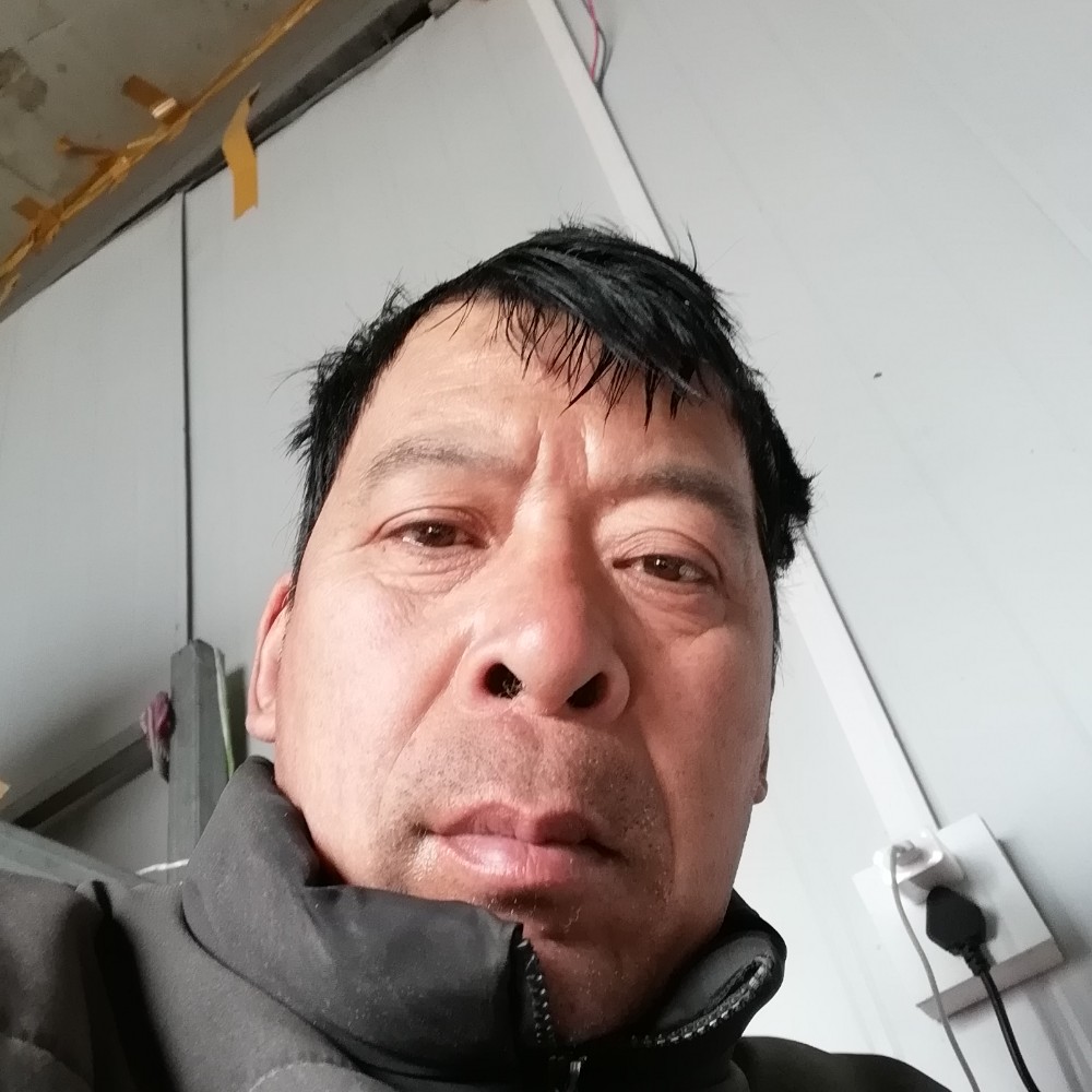 绝影机灵的照片