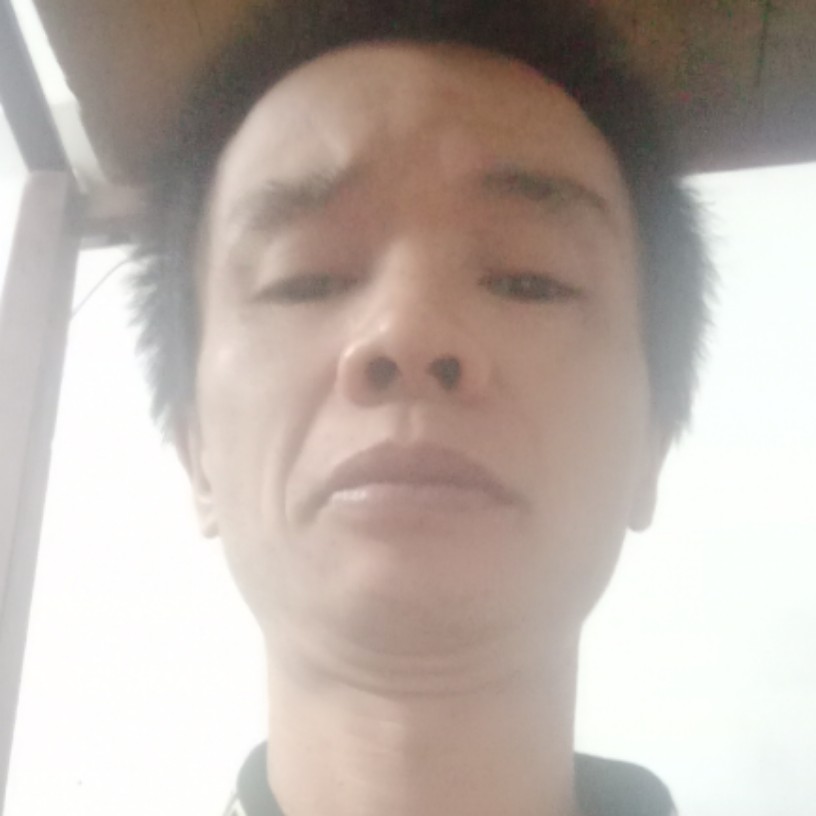 南鸢保卫虚拟的照片