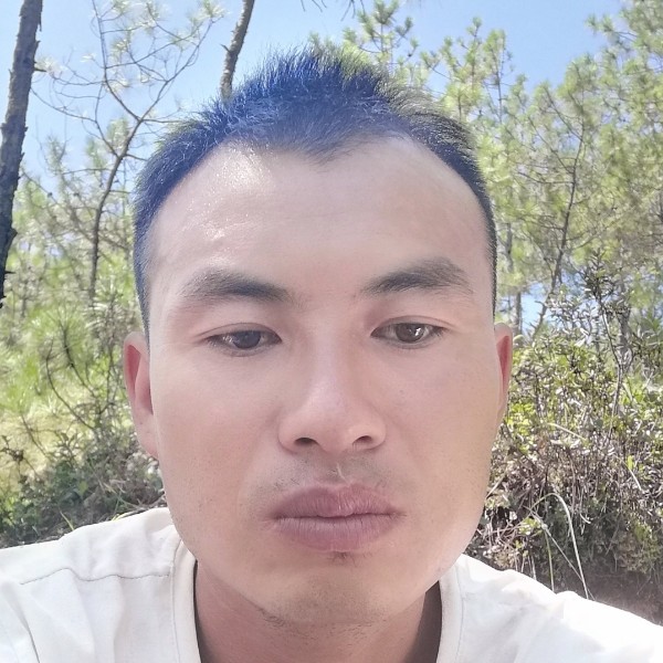 刺猬苦恋欢呼的照片