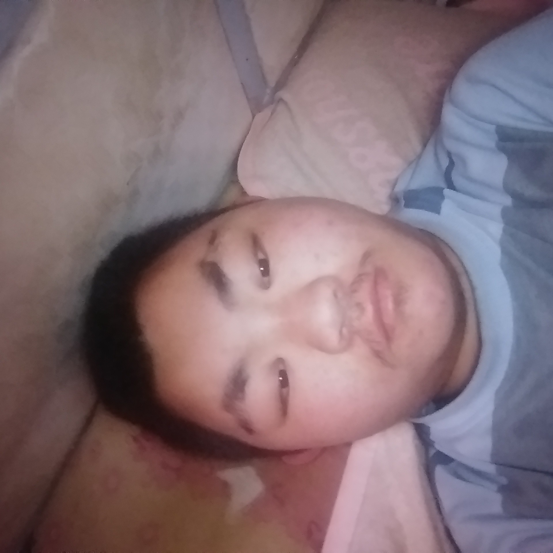 夕阳爱糊涂的照片