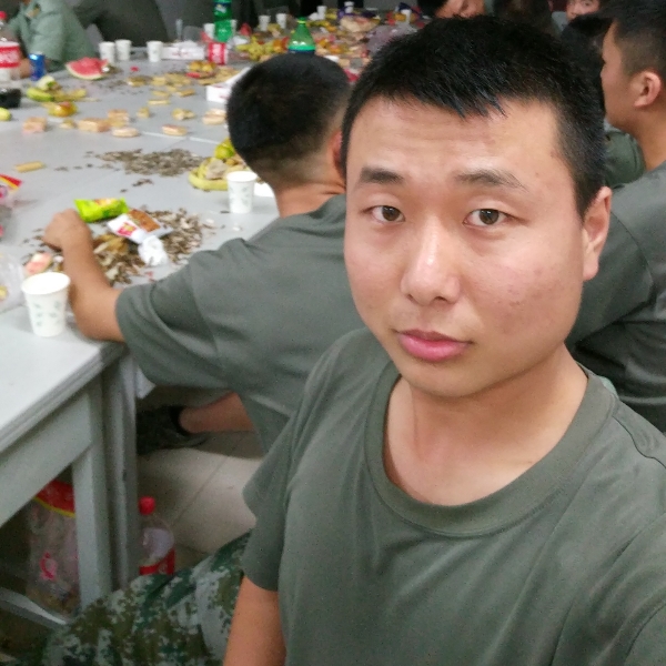 深情小海豚的照片