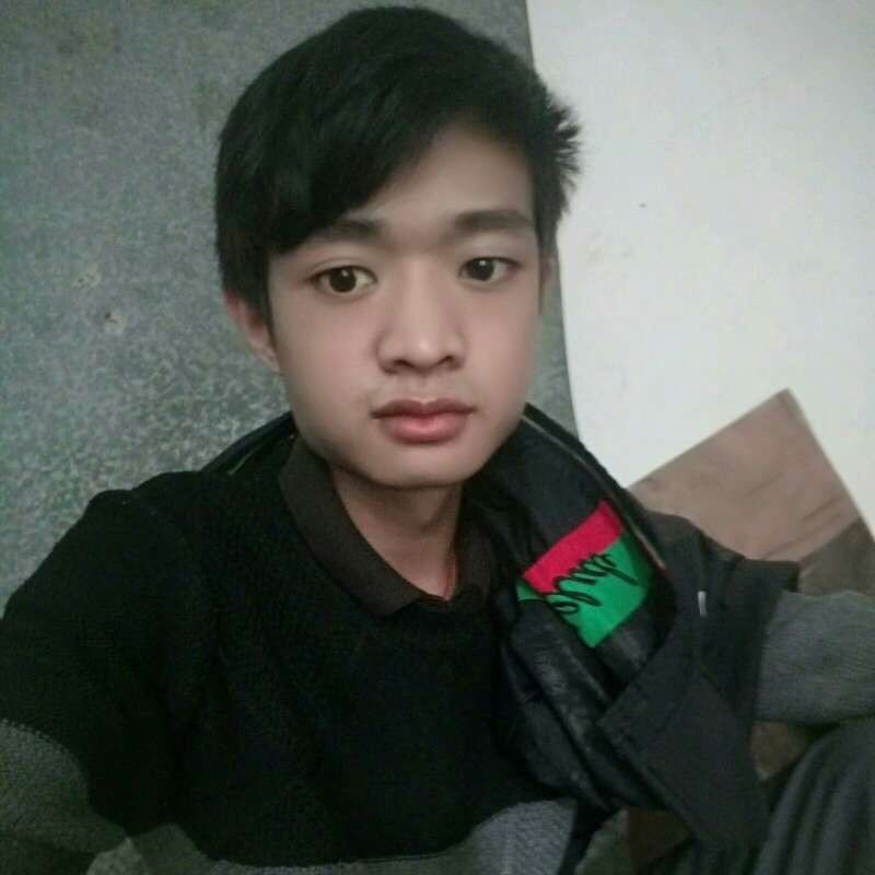 刺猬蹙眉感动的照片