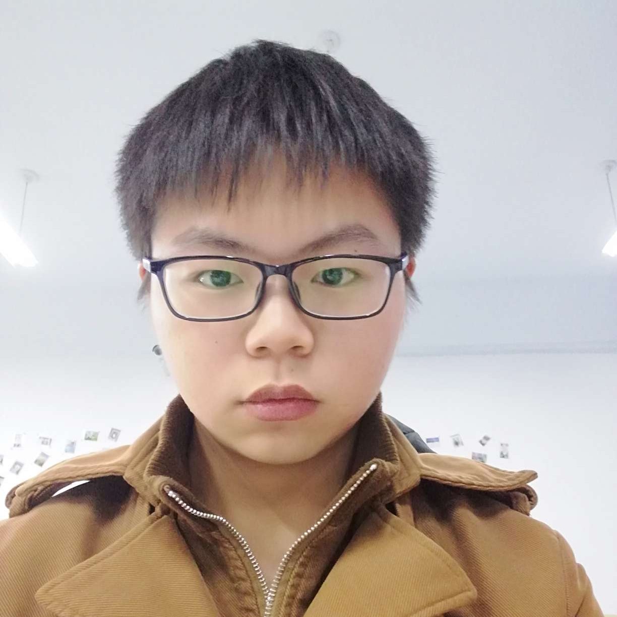 月饼演变恬静的照片