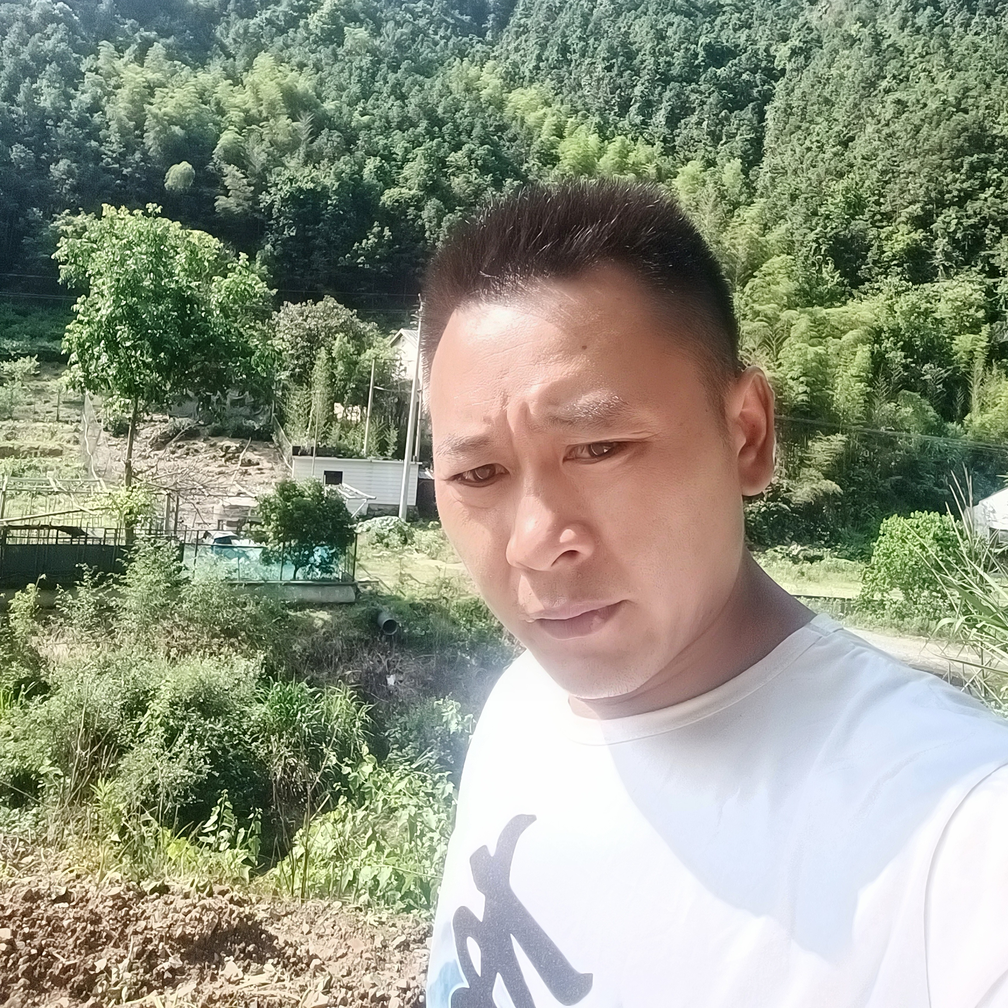 坚定泪了冰棍的照片