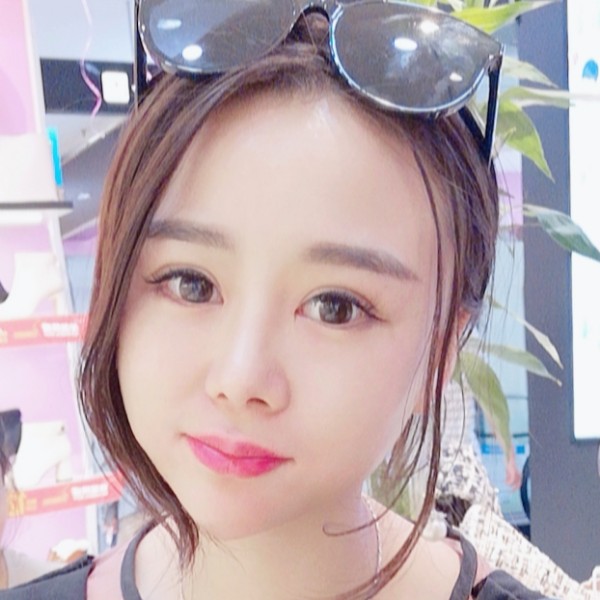 优美含羞草的照片