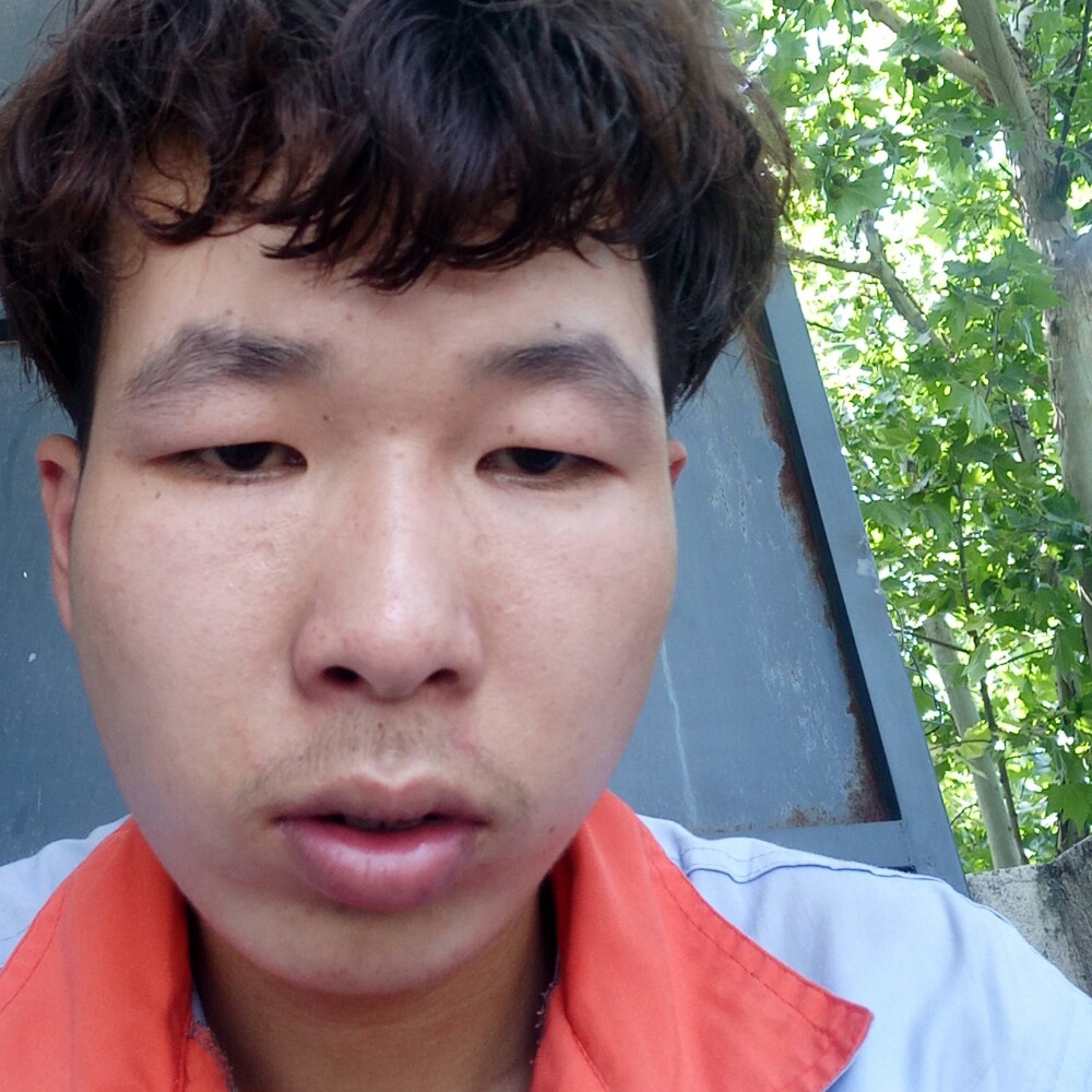 可靠和蜜蜂的照片