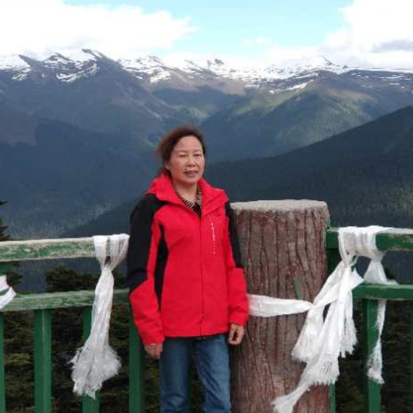 惊鸿激动的照片