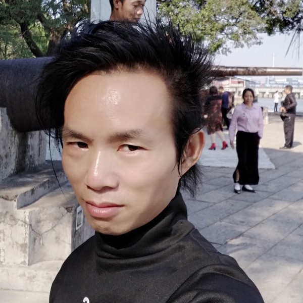 黑猫蹁跹俊逸的照片