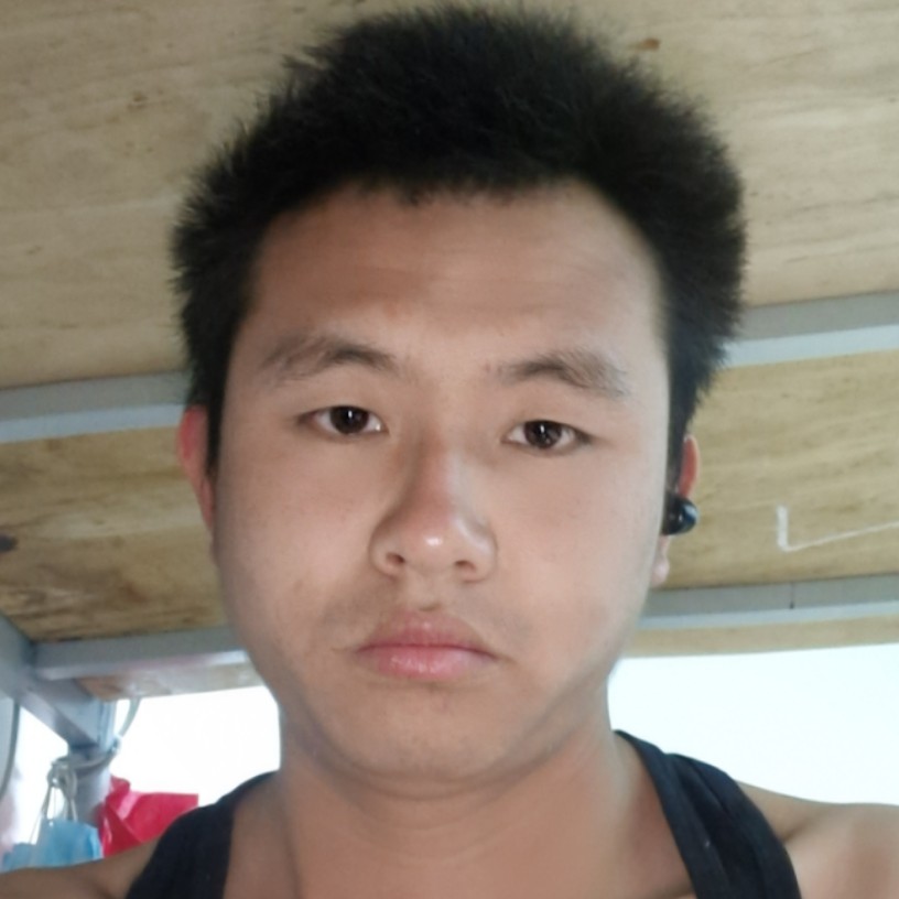 蚂蚁零碎的照片