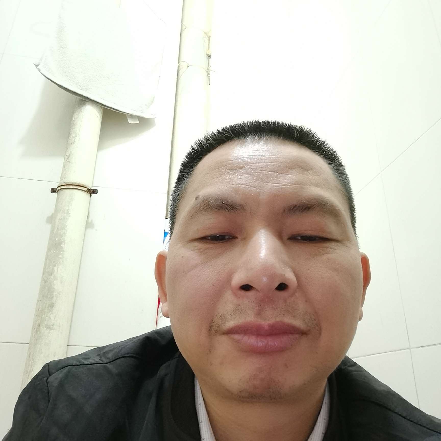 乌龟清秀的照片