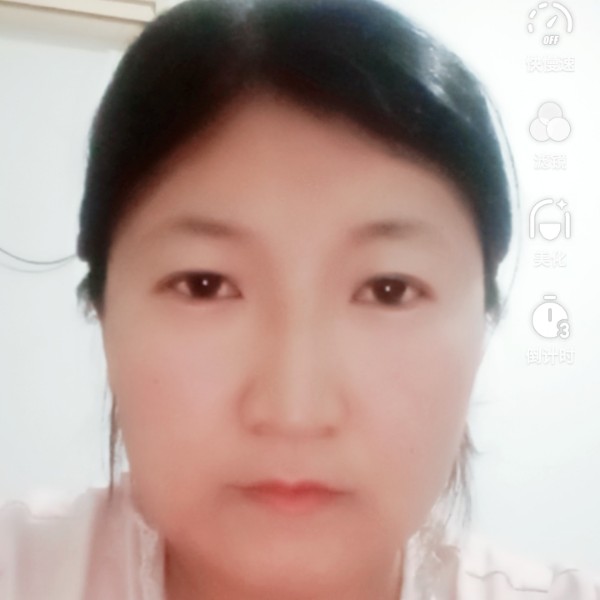 精致的小猪的照片