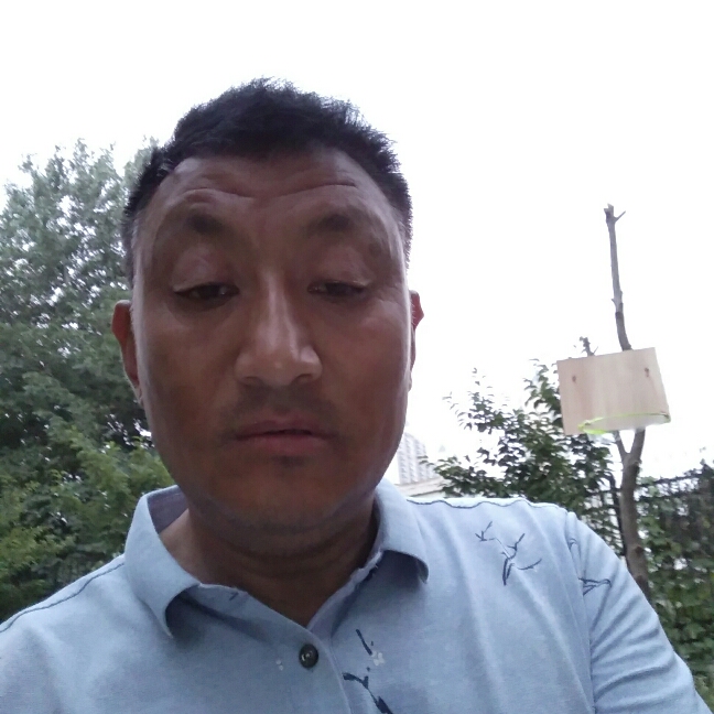 :人心难猜的照片