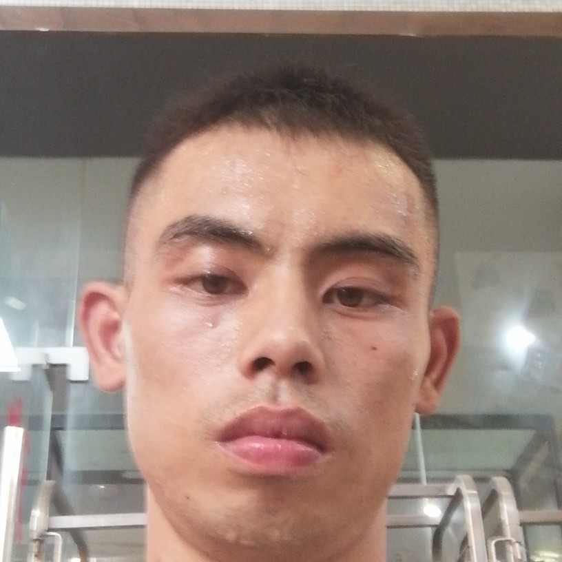 月饼蹁跹零碎的照片