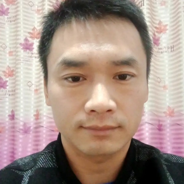 自信那长颈鹿的照片