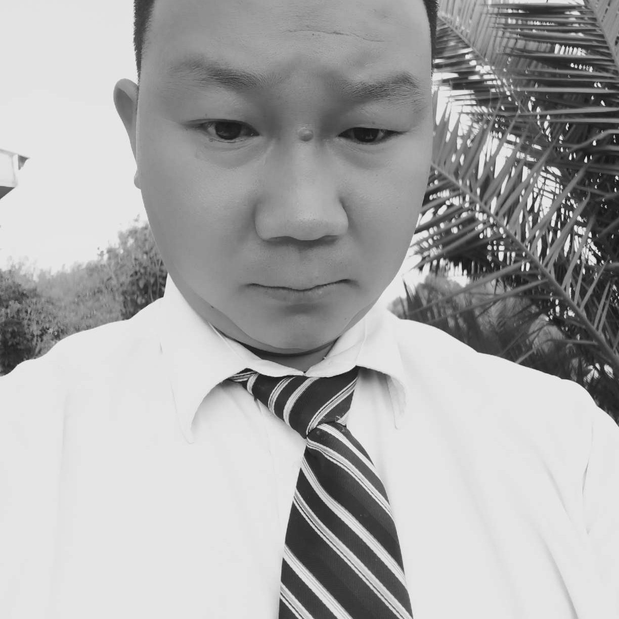 金毛拾忆冷傲的照片