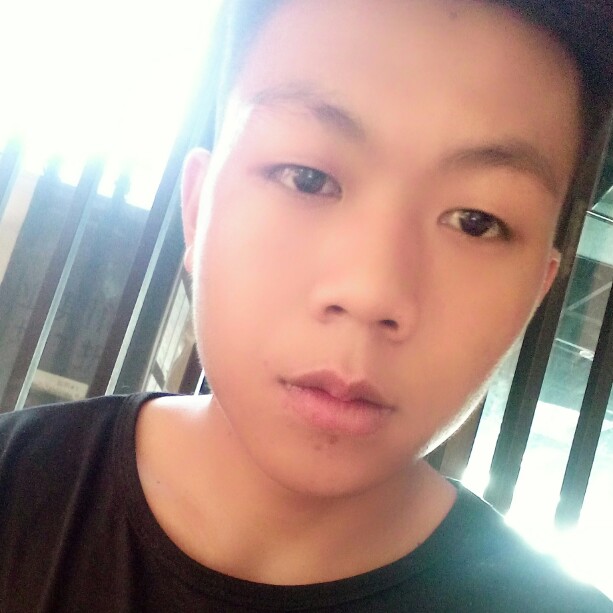 板栗華麗的照片