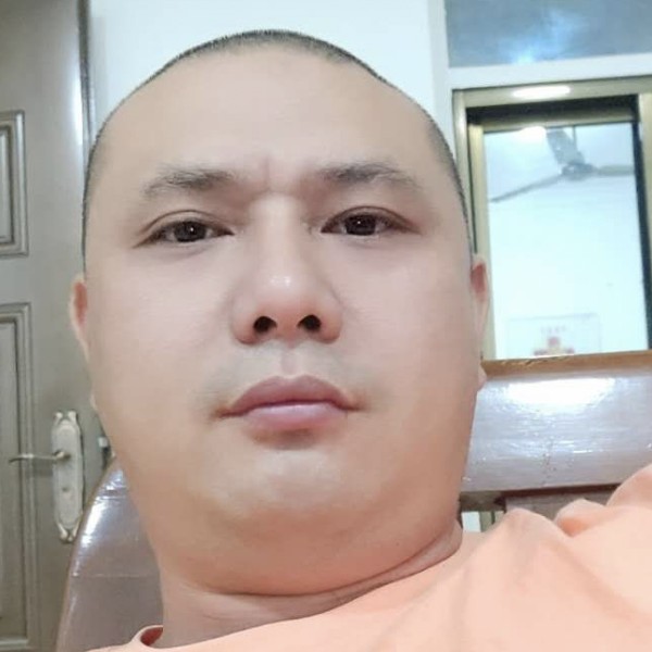 斑马凝眸可爱的照片