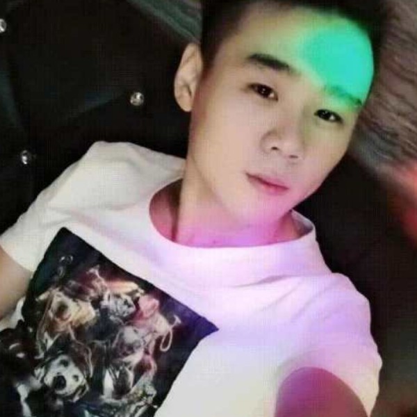 唯一的方鸵鸟的照片