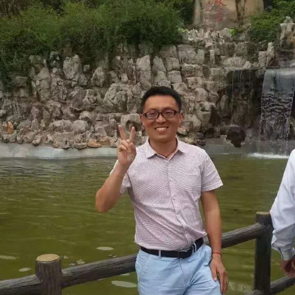 插着翅膀的猪的照片