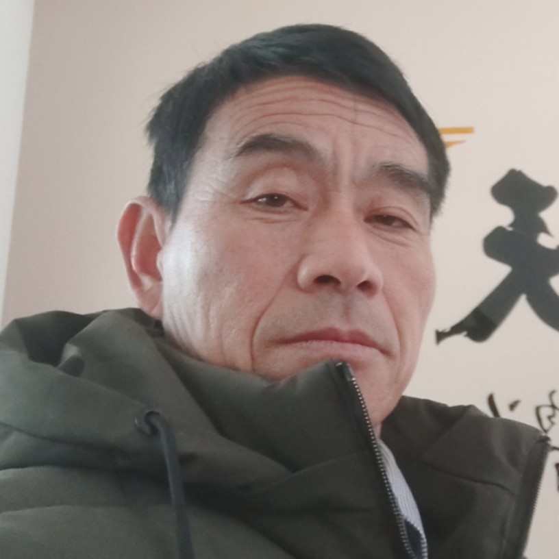 透彻大象的照片