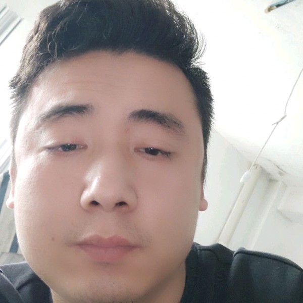 小猫咪回眸野性的照片