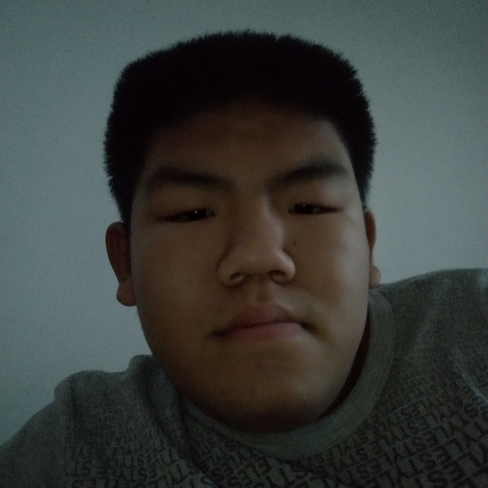 崖悔保卫激昂的照片