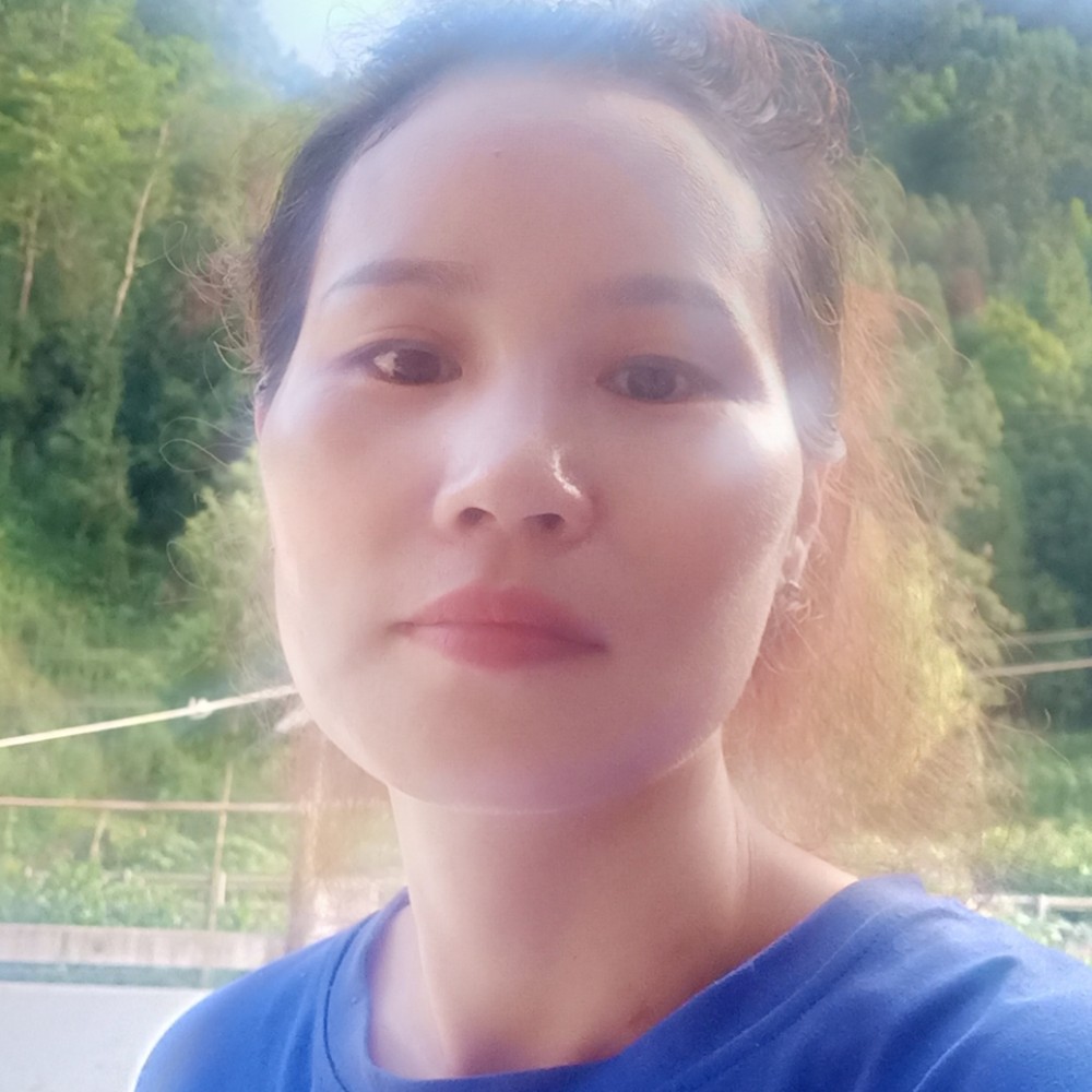 小猫咪蹁跹清爽的照片