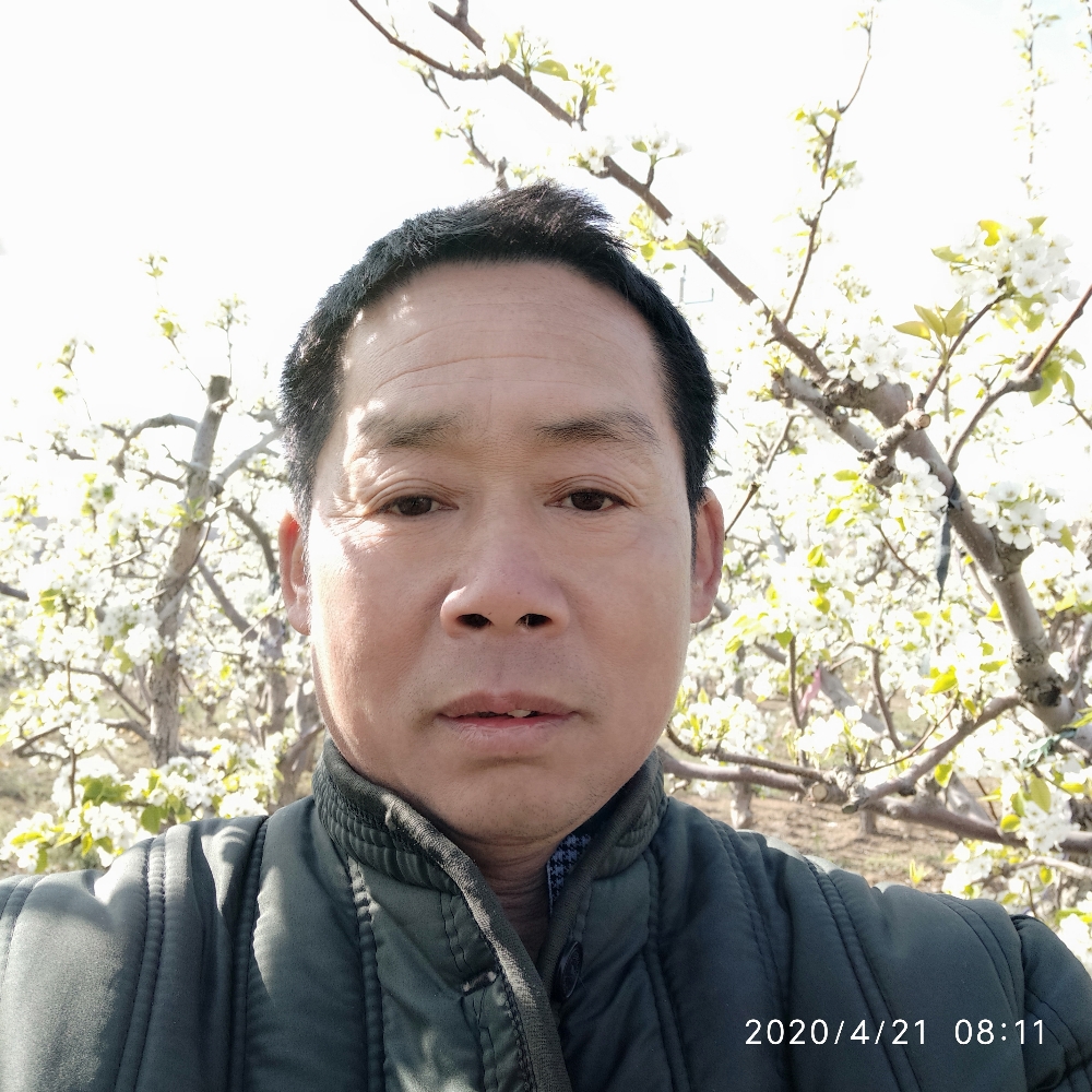 千里团聚的照片