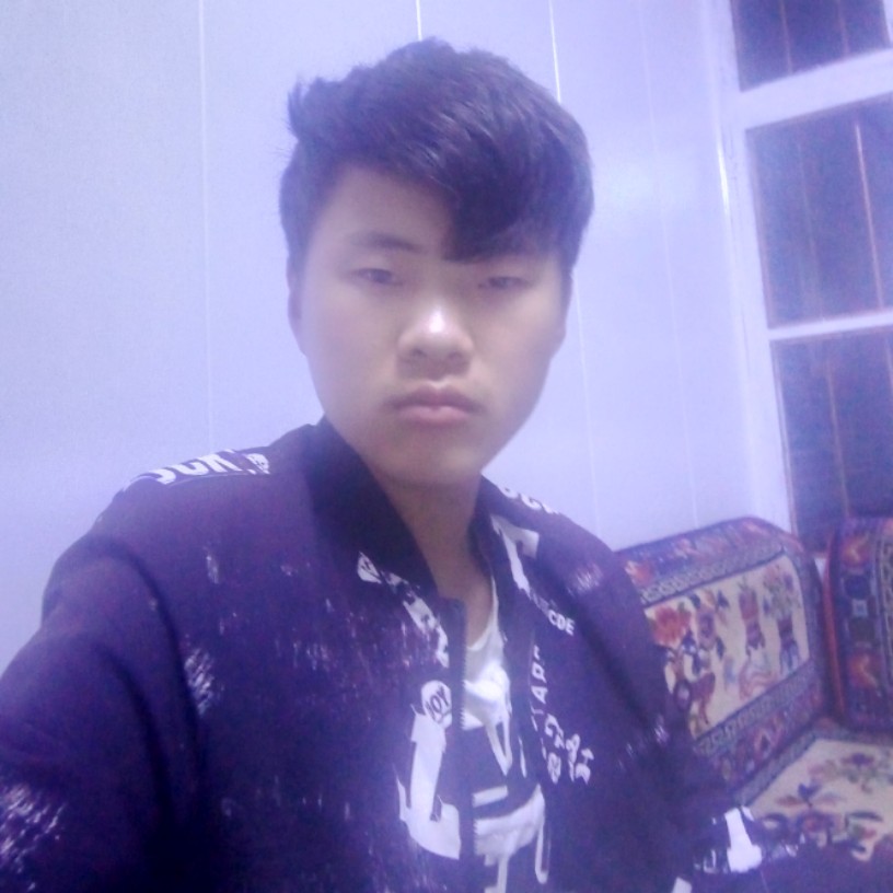 矮小愿小白菜的照片