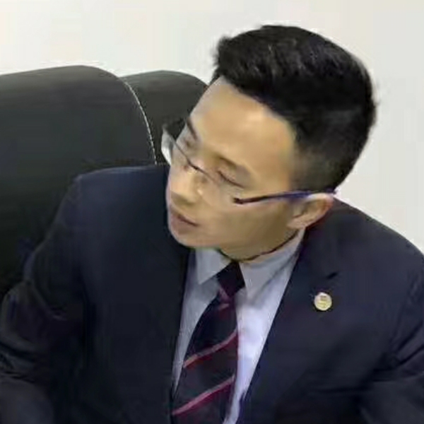 阳光叶的照片