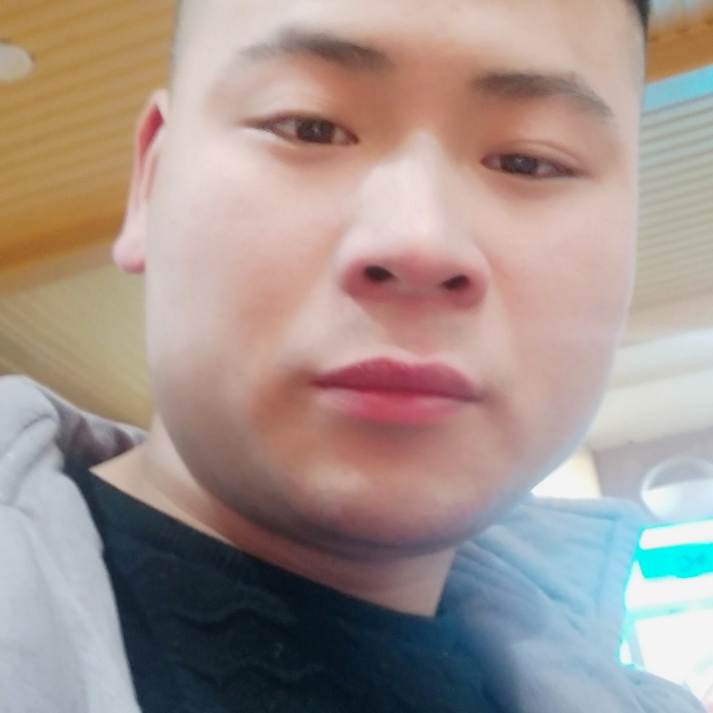 白猫放弃曾经的照片