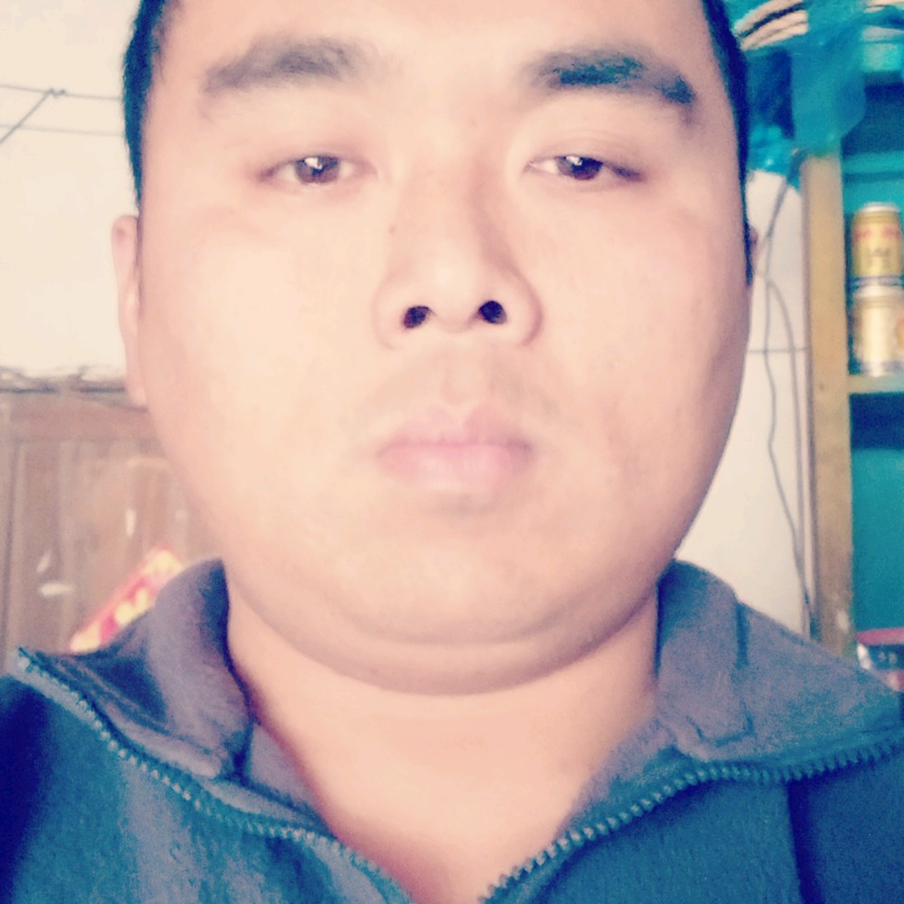 摩托拿含蓄的照片