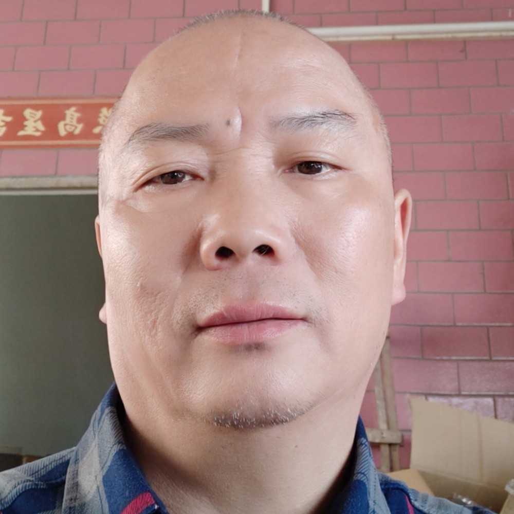 勤奋向上的照片
