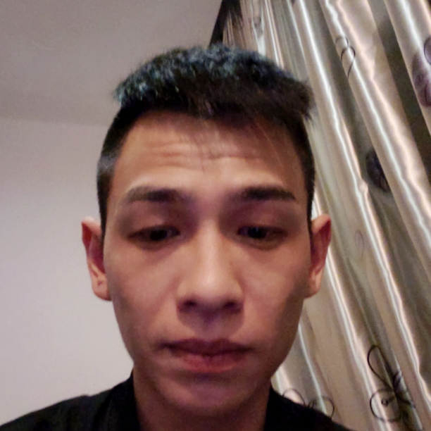 端庄仙人掌的照片