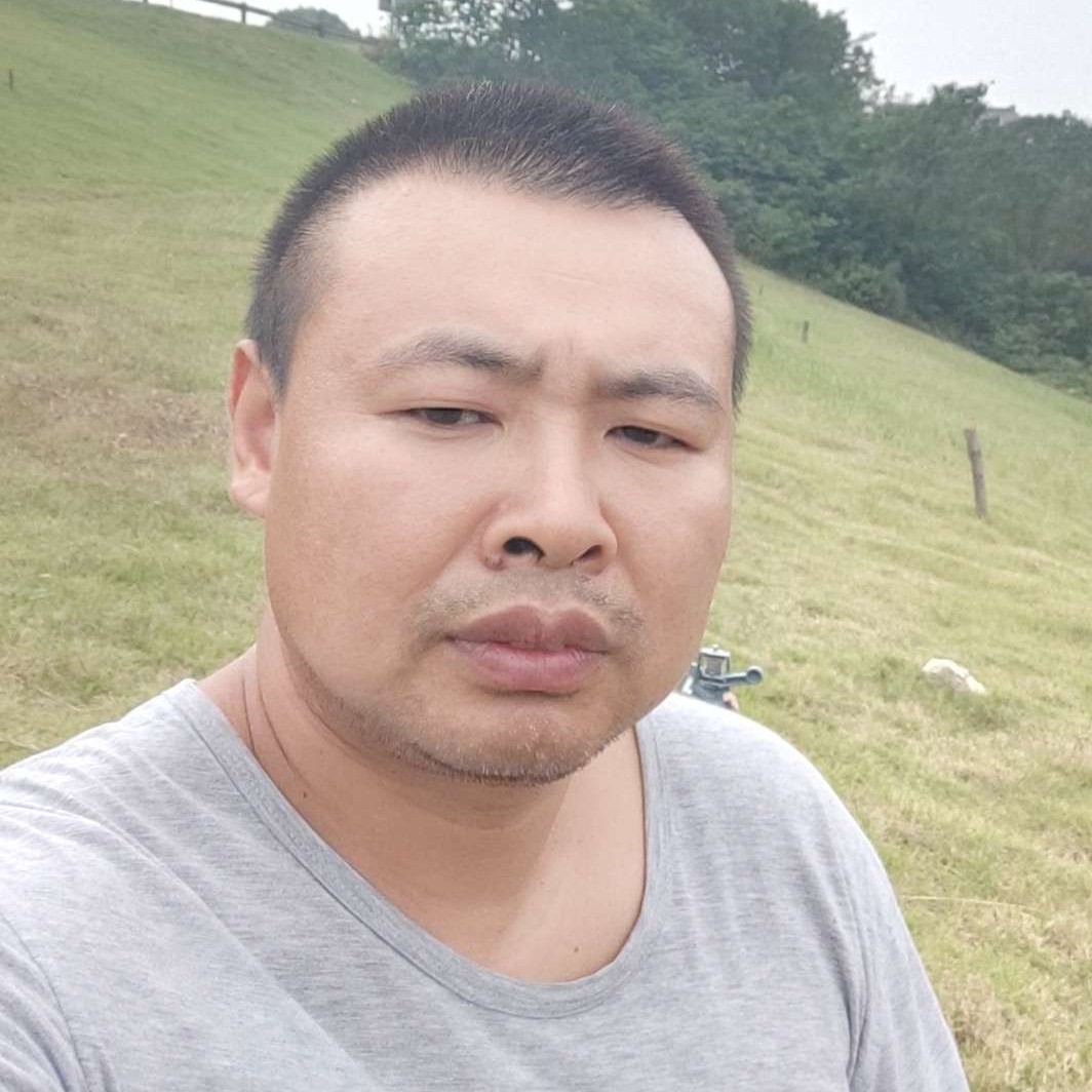 兔子的疯狂的照片