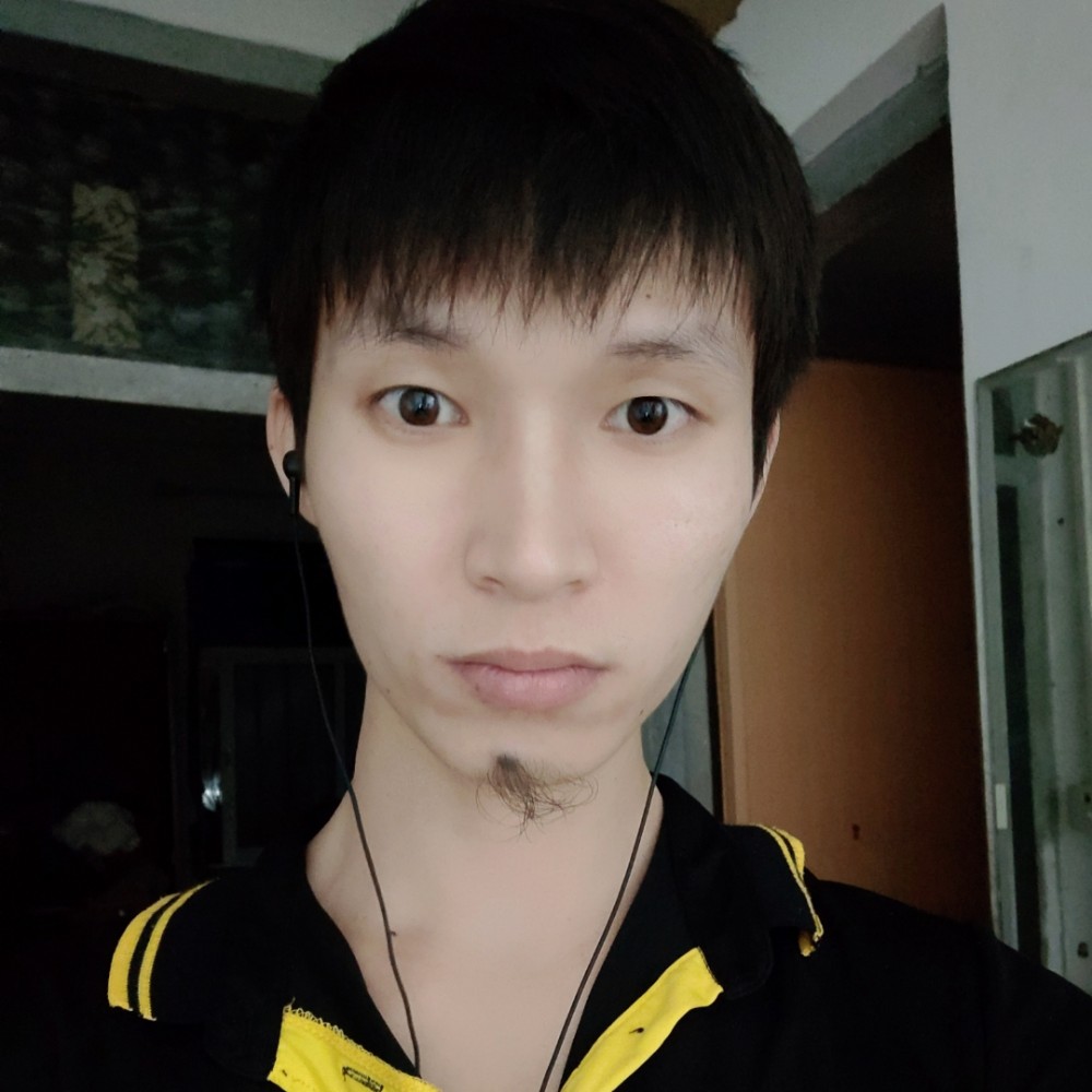 一只花猪的照片
