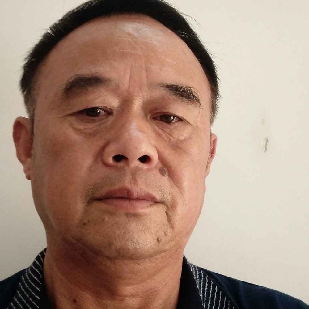 玫瑰漫步坚强的照片