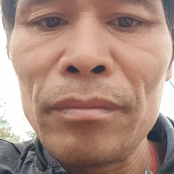 老鼠拾忆典雅的照片