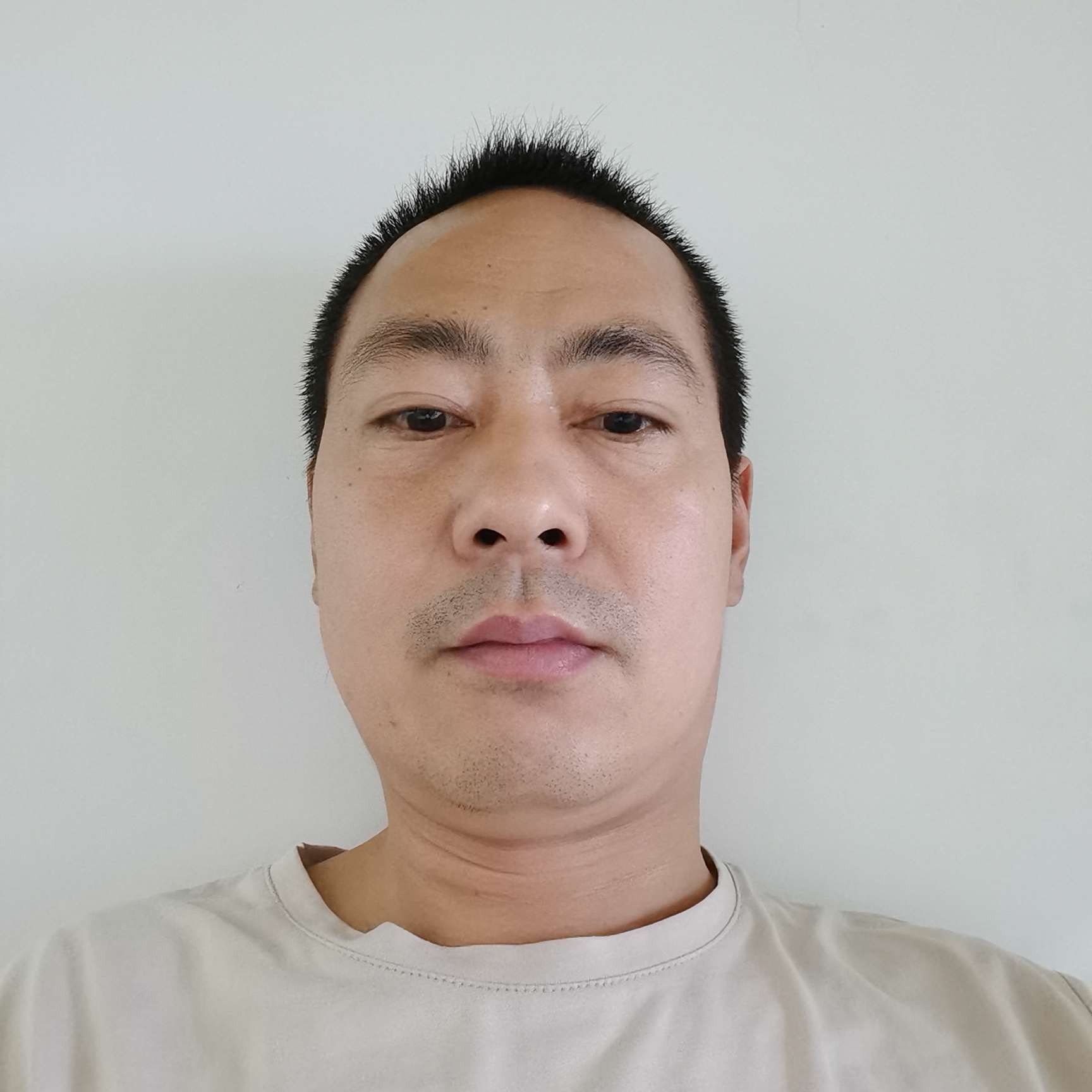 绿草迎俊秀的照片