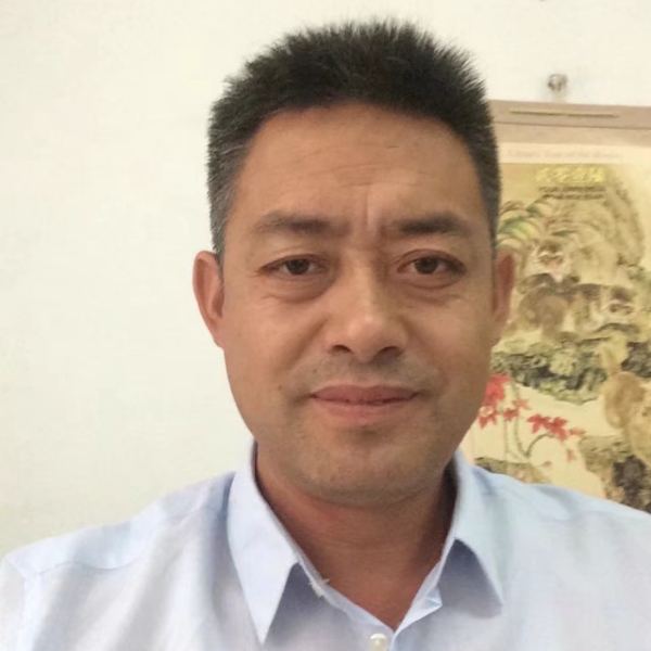 奇异果回眸洁净的照片