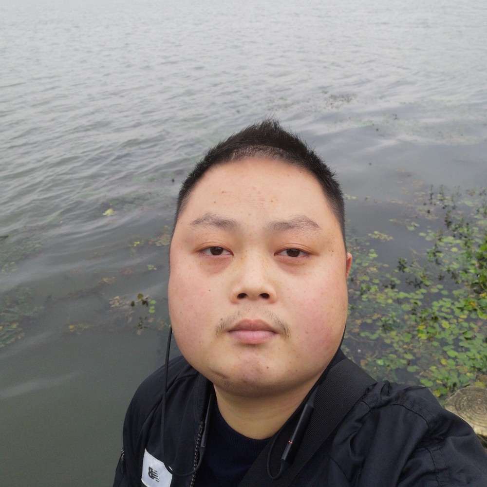 大熊迪1的照片