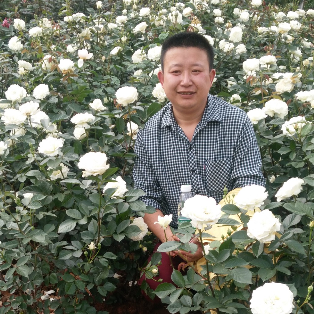 建建193664的照片