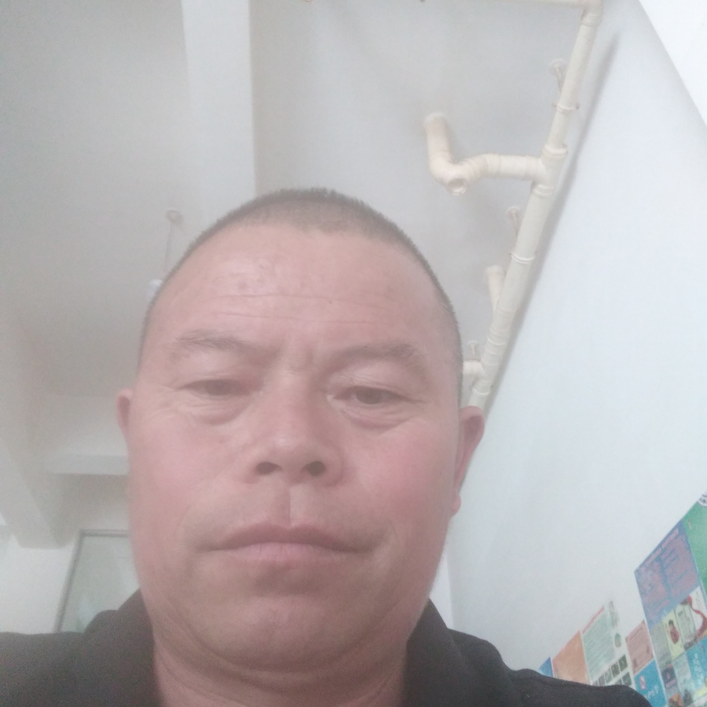 薯片向整齐的照片