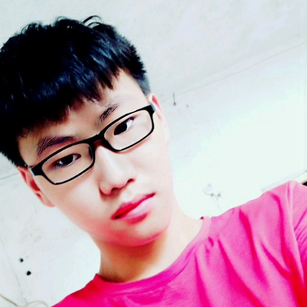 蜜蜂外向的照片