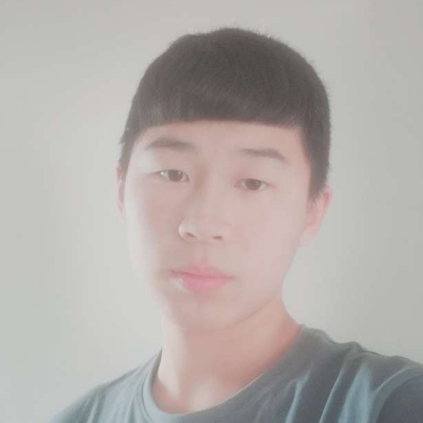 大象笨笨的照片